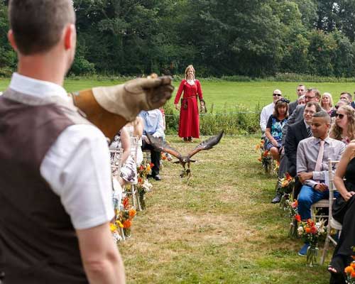 Falconry and Birds of Prey